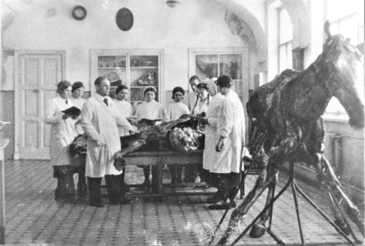 Историческая фотография занятия с животным
