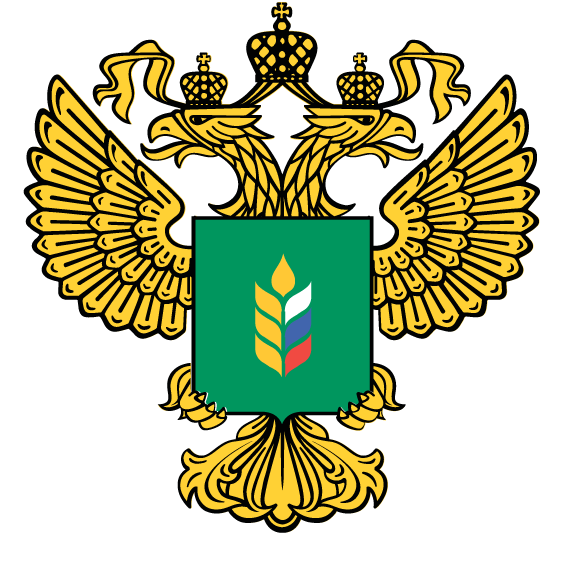 Доступная среда университета