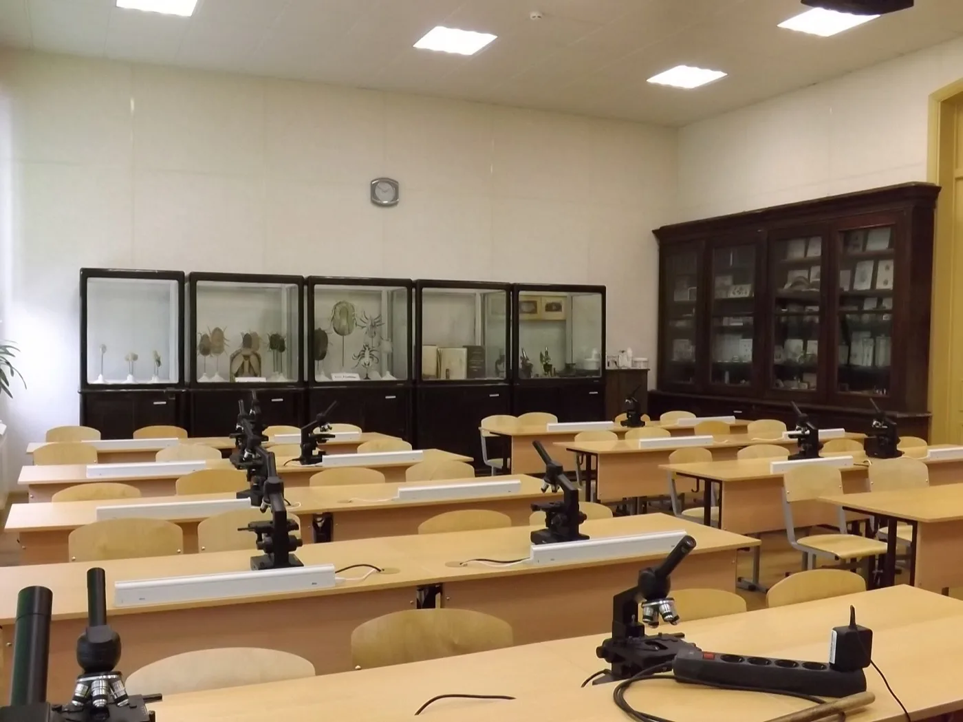 Экспонат музея паразитологии